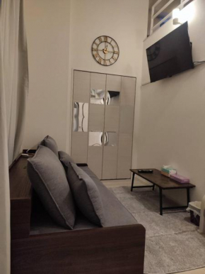 5min from waseda station luxury apartment elevator max5p